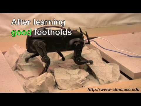 Robot LittleDog aprendiendo nuevos trucos