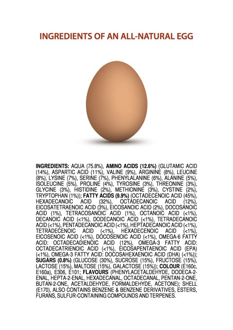 Componentes del huevo