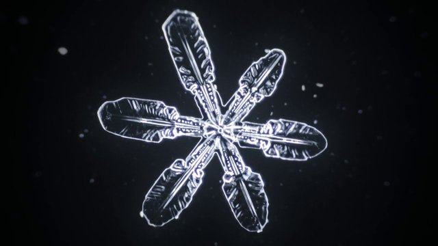 Así se forman los copos de nieve [timelapse]
