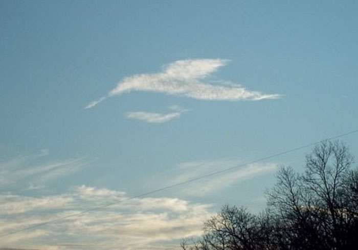 Nubes con formas que recuerdan otras cosas