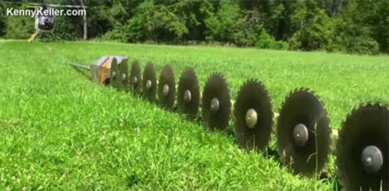 Así se podan árboles cerca de líneas de alta tensión: A lo bestia